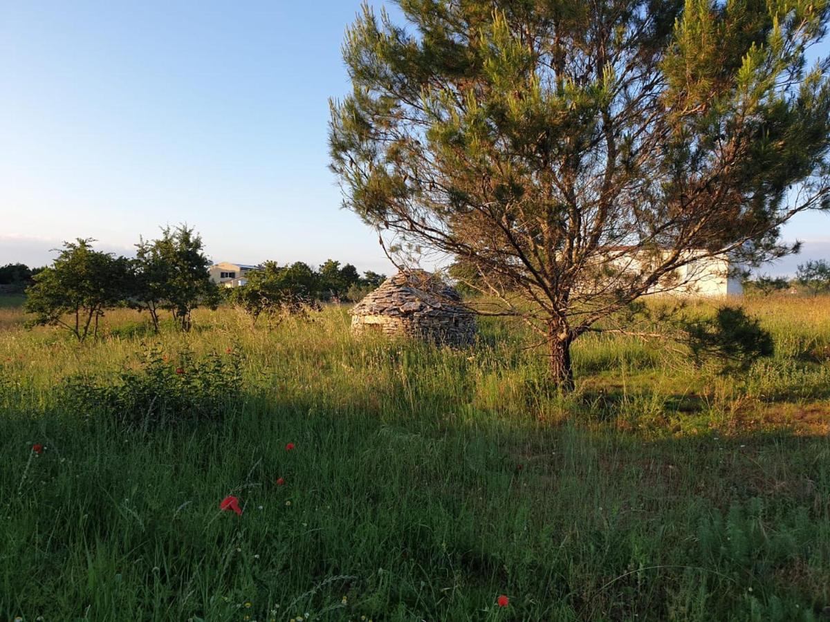 Villa Istra Divšići Εξωτερικό φωτογραφία